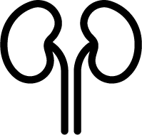 Kidney