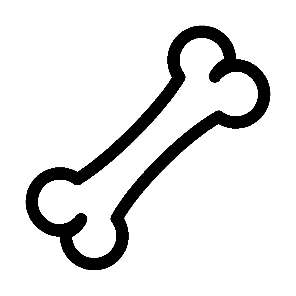 Bone