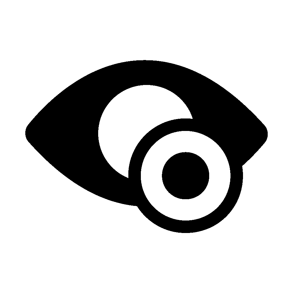 Contact Lens & Low vision aids