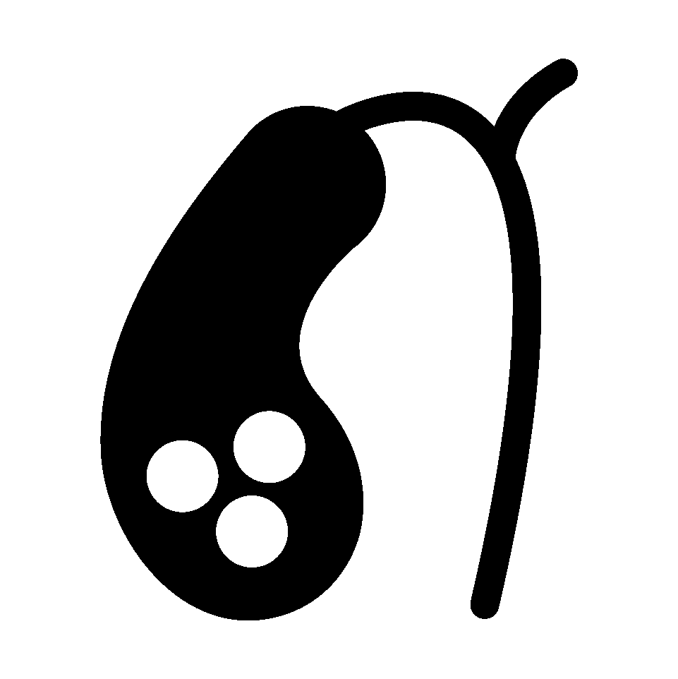 Gallstone