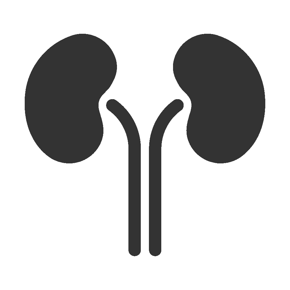 Kidney