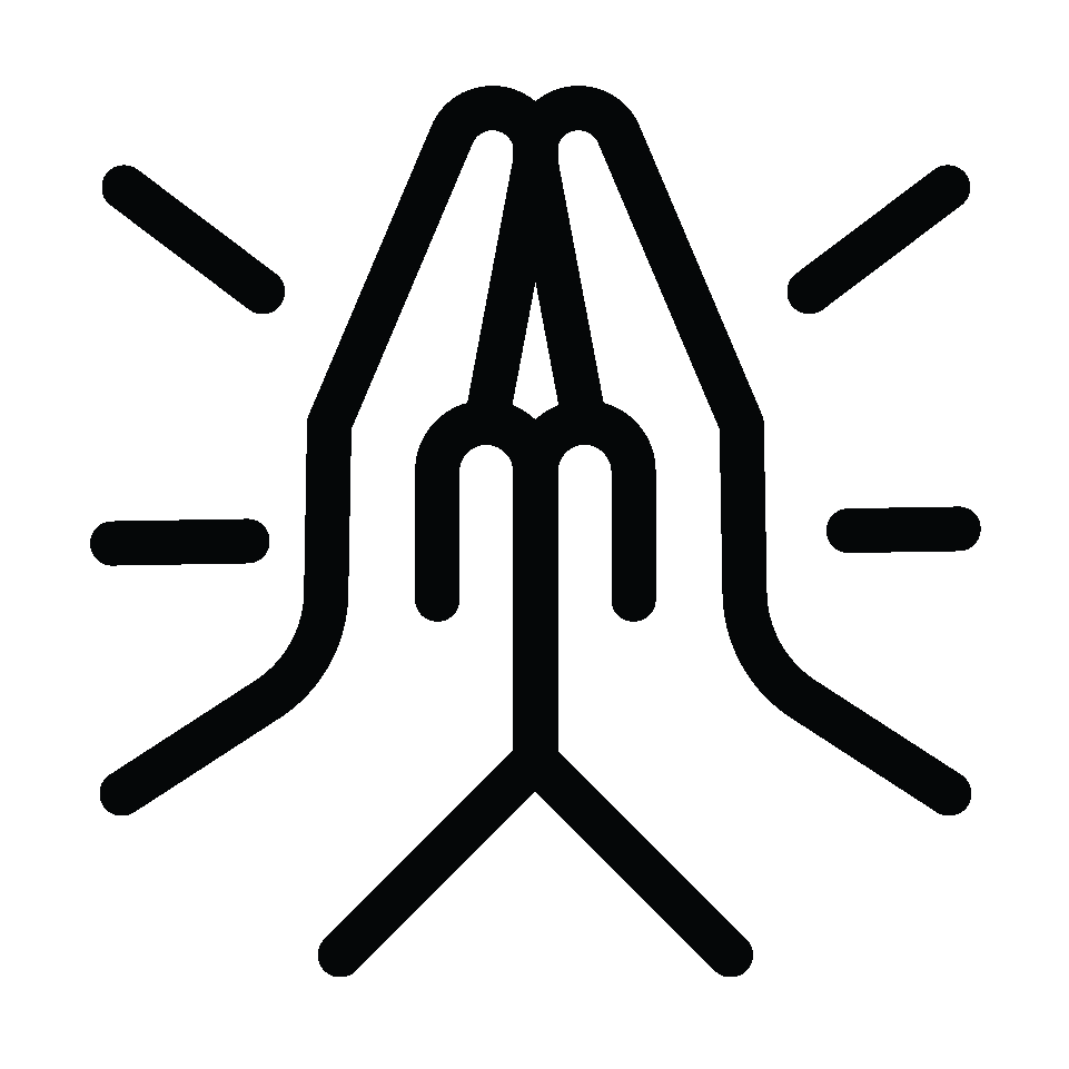 Special Entry Darshan