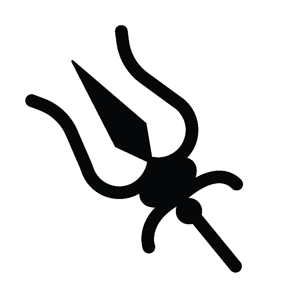 Trishul